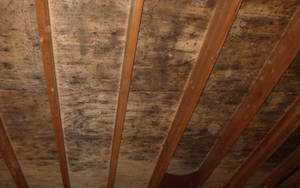 home-inspection-checklist-attic-mold