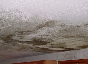 north-dallas-home-inspection-ceiling-water-damage