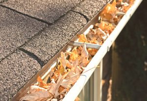 clogged-gutter-home-inspection-issues-mckinney